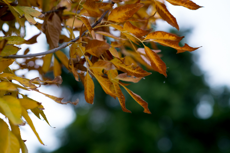 Kate Eschbach Photography-1