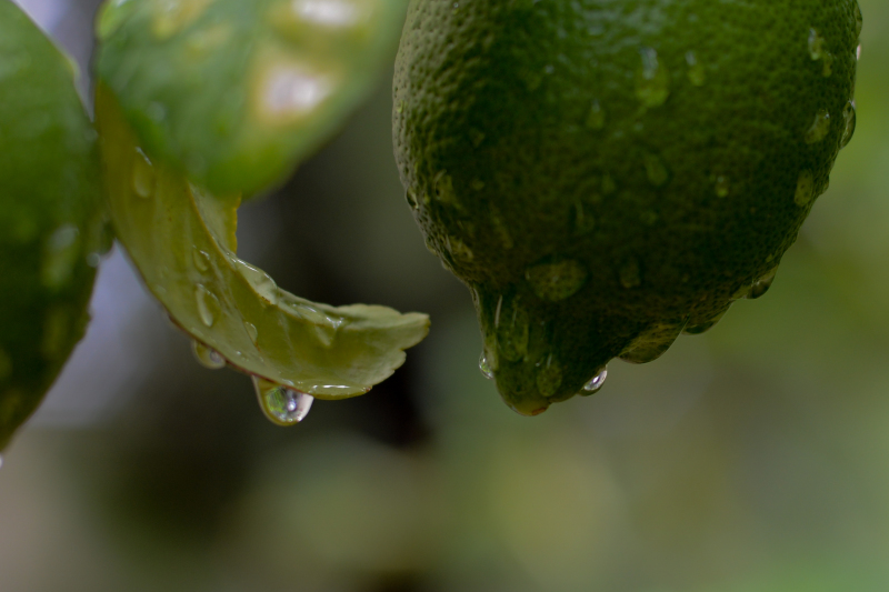 Kate Eschbach Photography-2