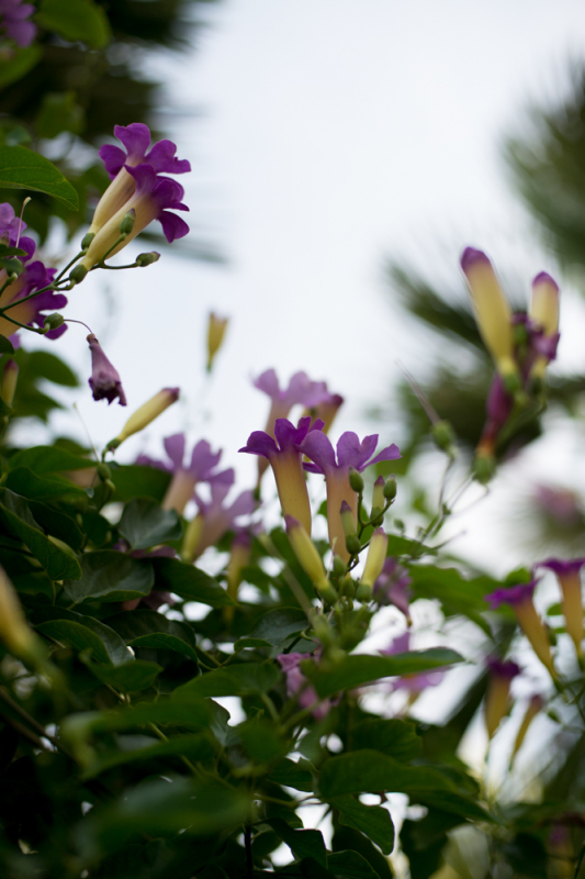 Kate Eschbach Photography-2