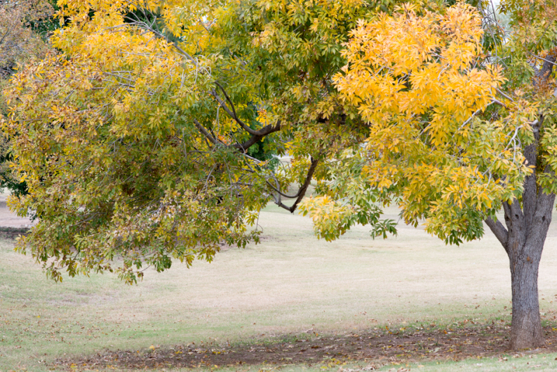 Kate Eschbach Photography-3