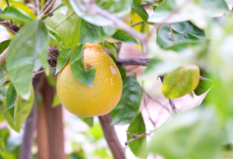 Kate Eschbach Photography-3a