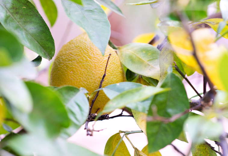 Kate Eschbach Photography-4a