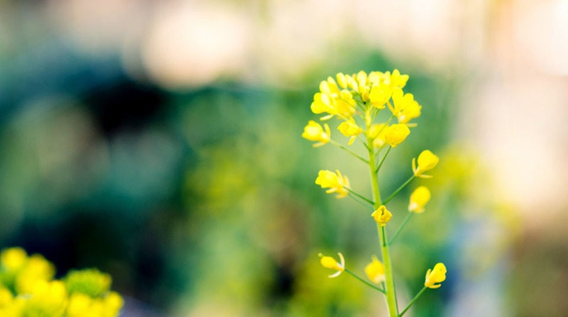 Kate Eschbach Photography-1a