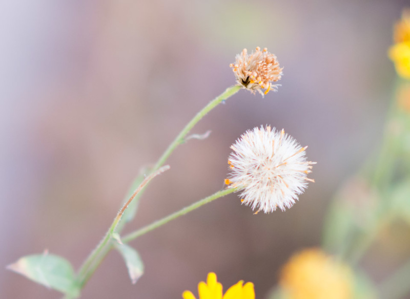 Kate Eschbach Photography-6