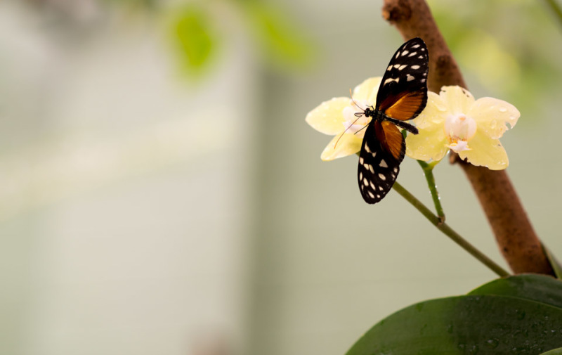 Kate Eschbach Photography-1