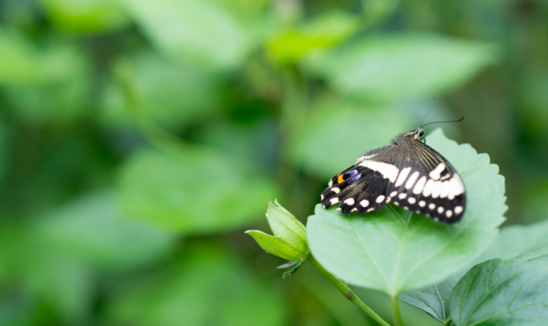 Kate Eschbach Photography-1