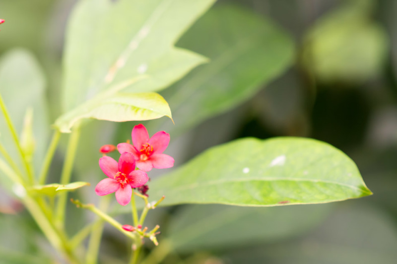 Kate Eschbach Photography-2