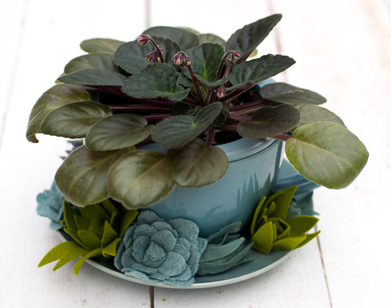 Kate Eschbach Photography-1