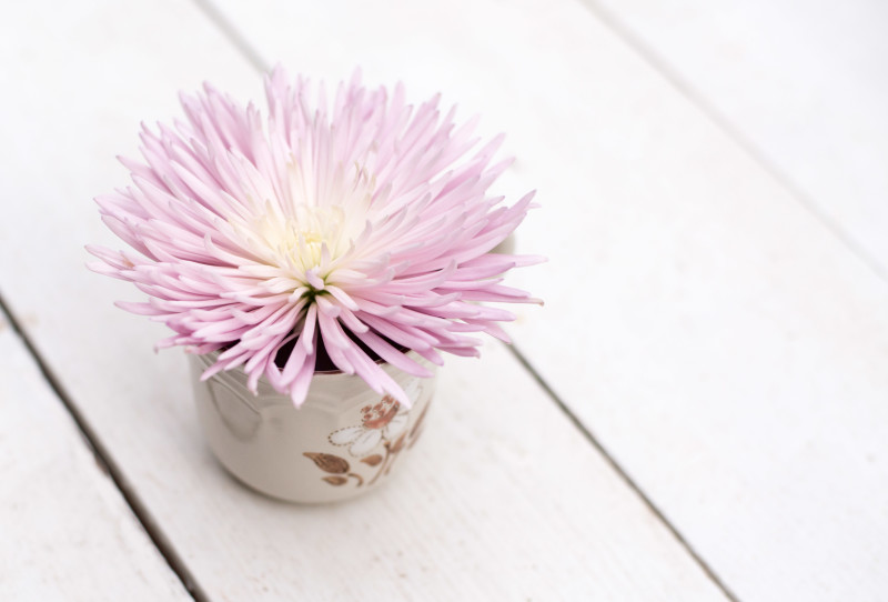 Kate Eschbach Photography-2