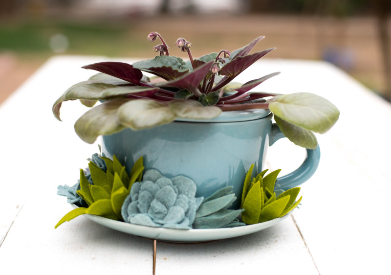 Kate Eschbach Photography-2