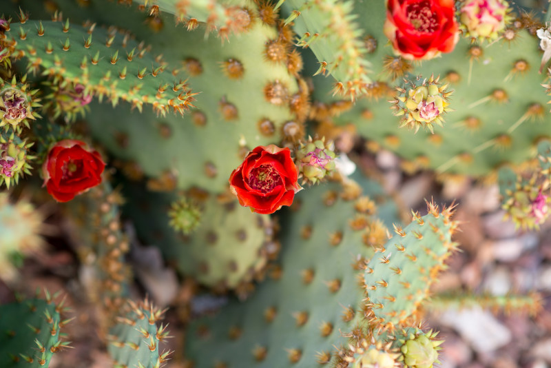 Kate Eschbach Photography-3