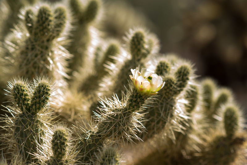 Kate Eschbach Photography-8