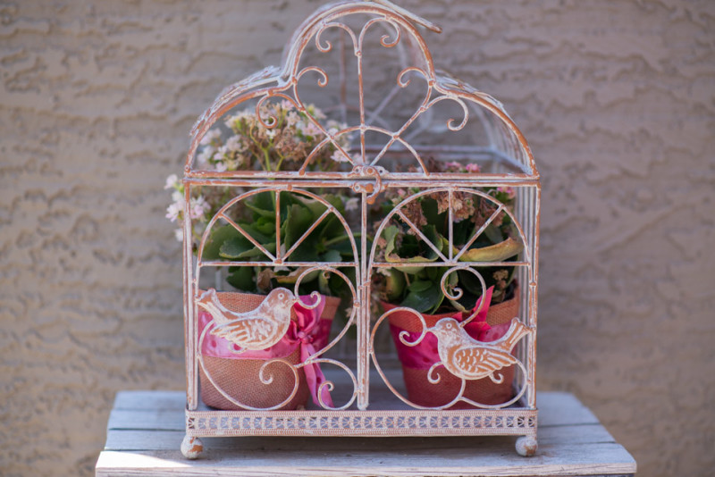 Kate Eschbach Photography-1