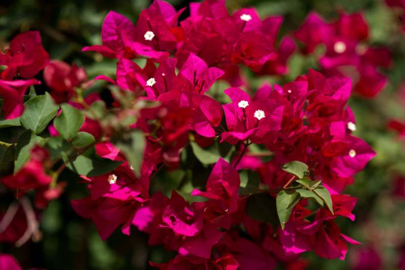 Kate Eschbach Photography-1