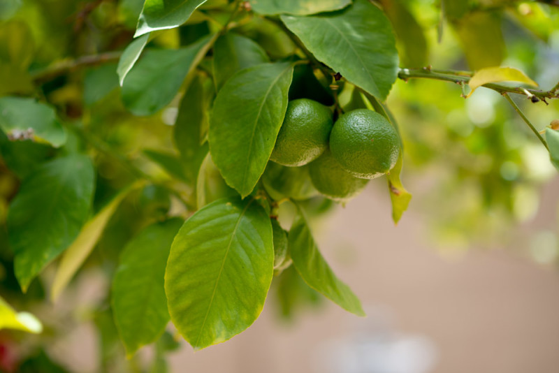 Kate Eschbach Photography-3