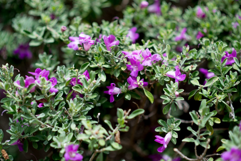 Kate Eschbach Photography-7