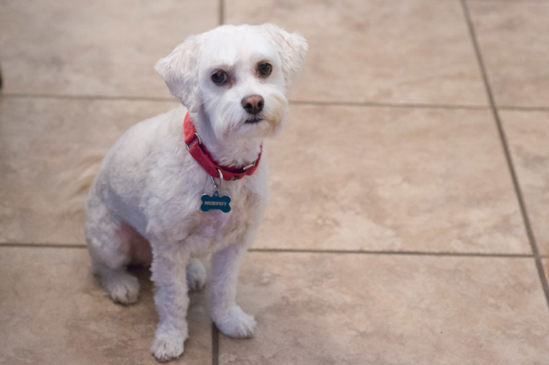 Kate Eschbach Photography-11