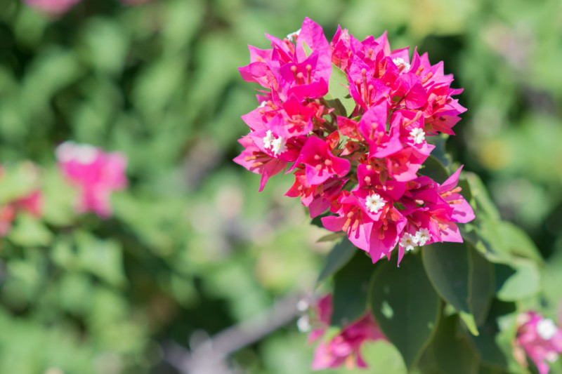 Kate Eschbach Photography-2