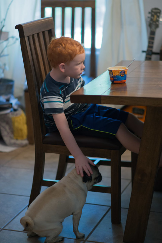 Kate Eschbach Photography-3