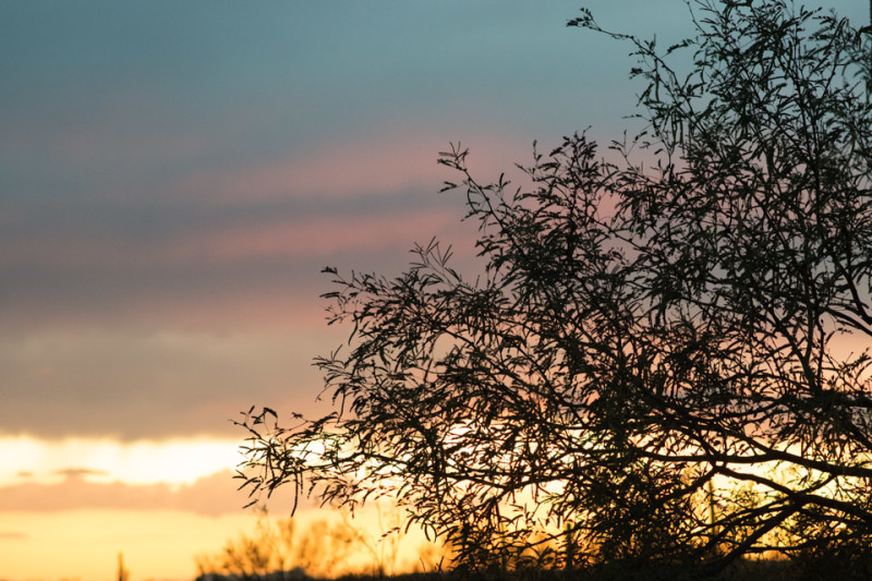 Kate Eschbach Photography-47