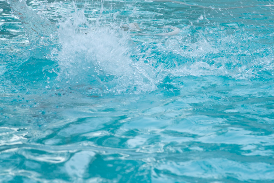 Kate Eschbach Photography-7