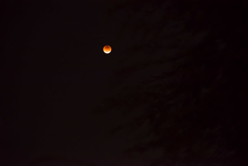 Kate Eschbach Photography-1