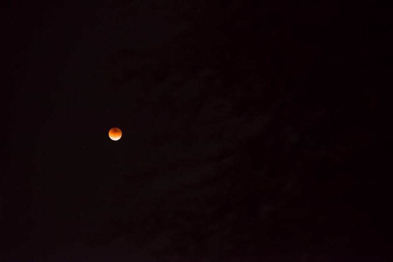 Kate Eschbach Photography-2