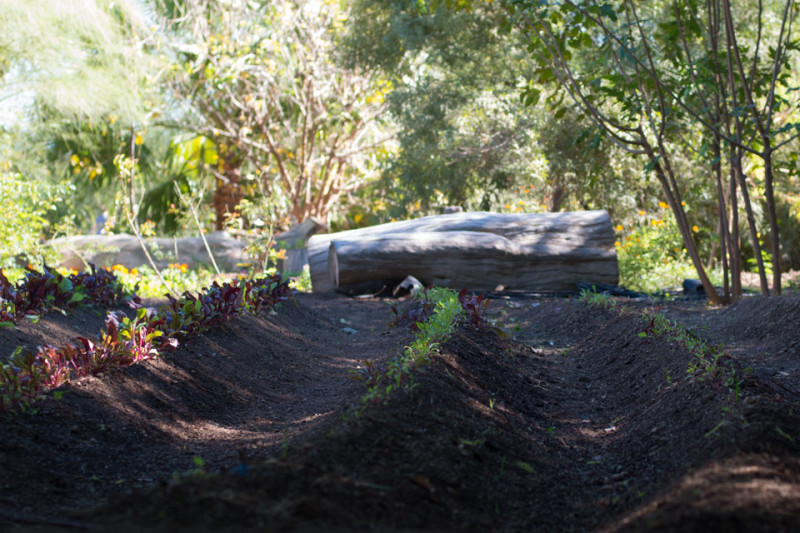 Kate Eschbach Photography-10