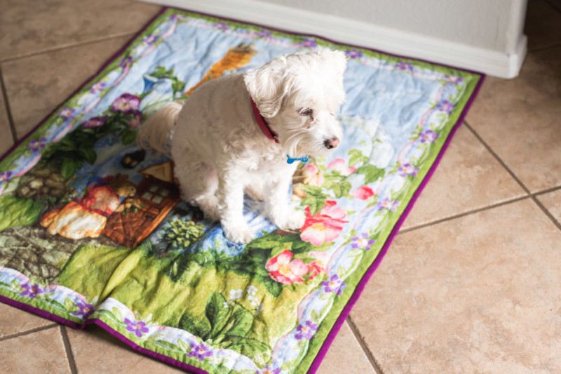 Kate Eschbach Photography-1