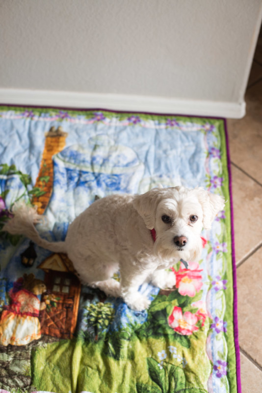 Kate Eschbach Photography-2