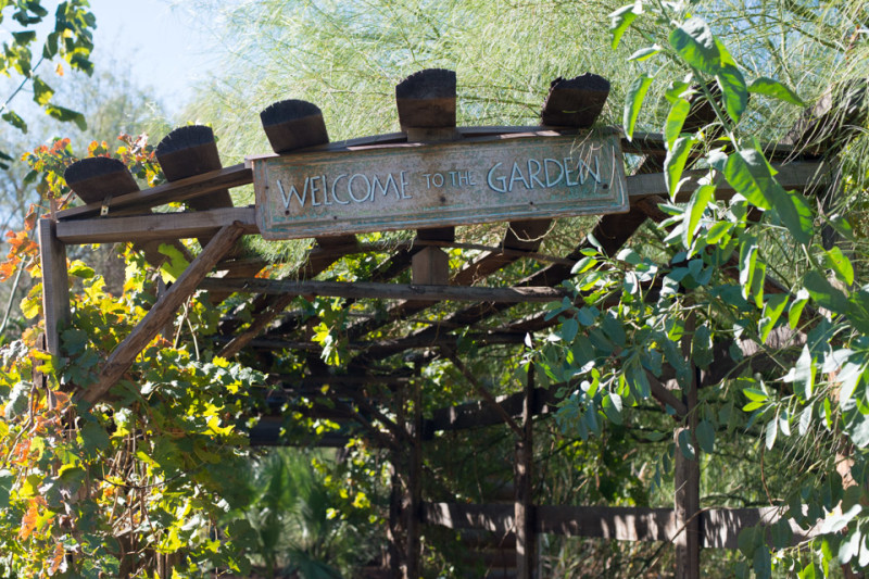 Kate Eschbach Photography-2