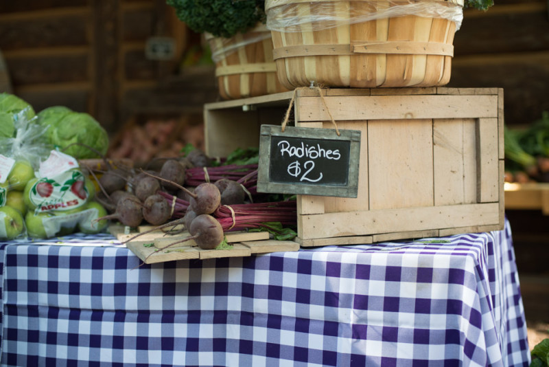 Kate Eschbach Photography-5