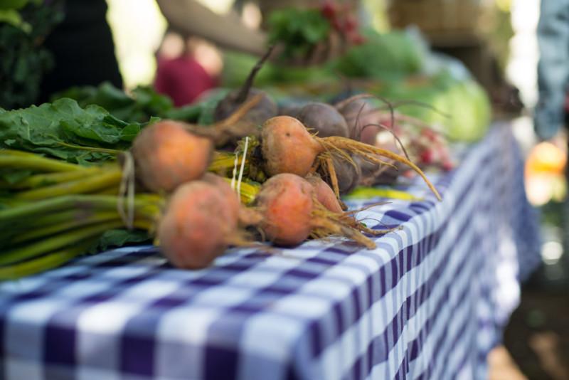 Kate Eschbach Photography-6