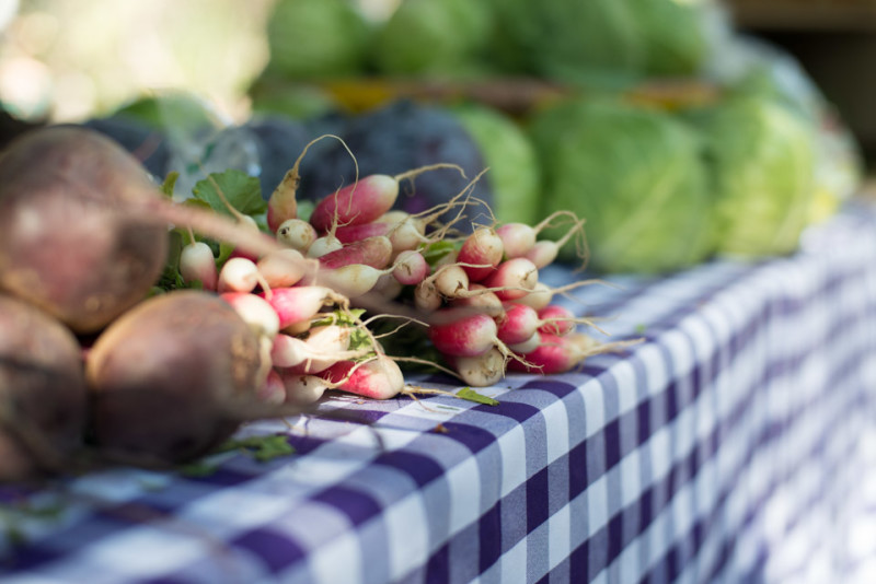 Kate Eschbach Photography-7