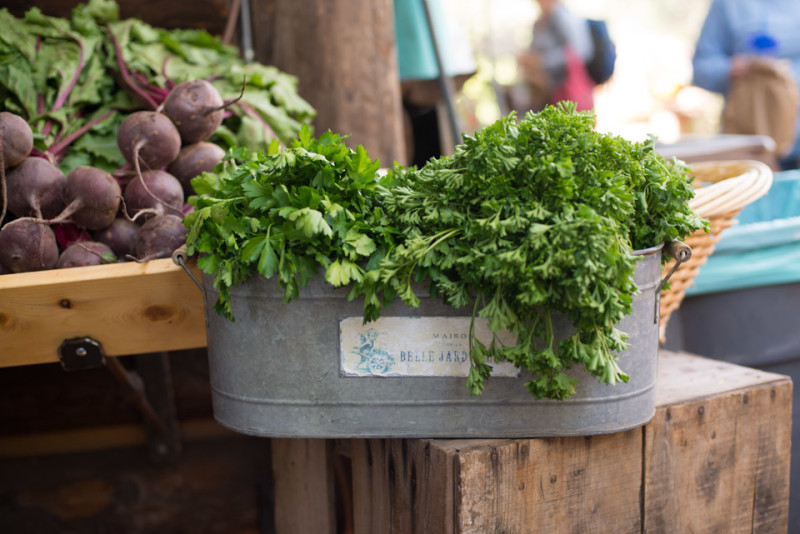 Kate Eschbach Photography-8