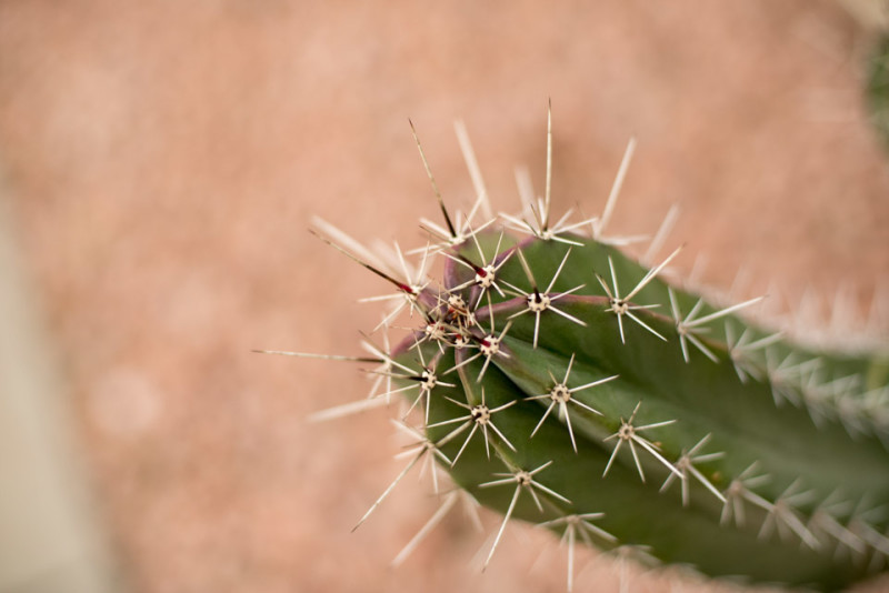 Kate Eschbach Photography-8450