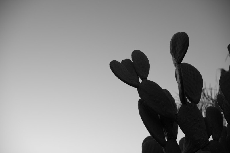 Kate Eschbach Photography-8453