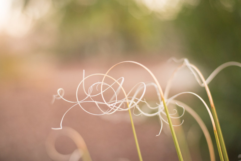 Kate Eschbach Photography-8462