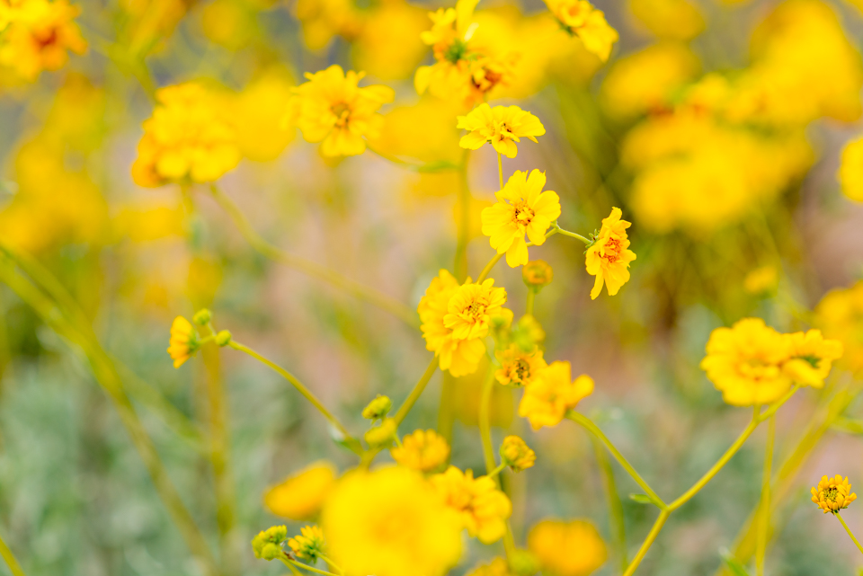 Kate Eschbach Photography-8953