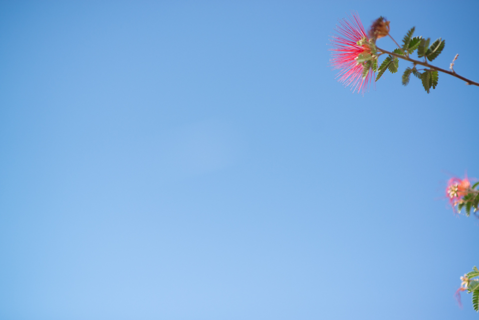 Kate Eschbach Photography-9100