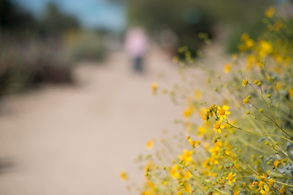 Kate Eschbach Photography-9102