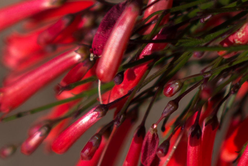 Kate Eschbach Photography-9104