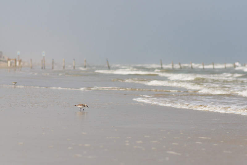 Kate Eschbach Photography--11