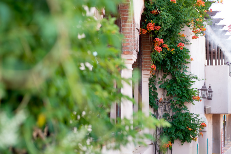 Kate Eschbach Photography-1743