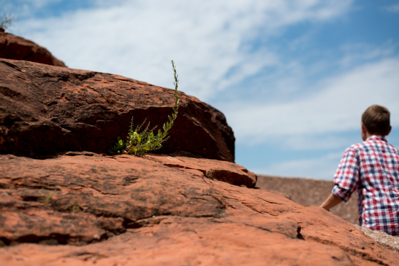 Kate Eschbach Photography-1887