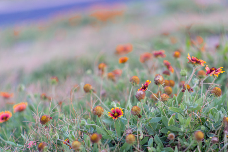 Kate Eschbach Photography-2-7