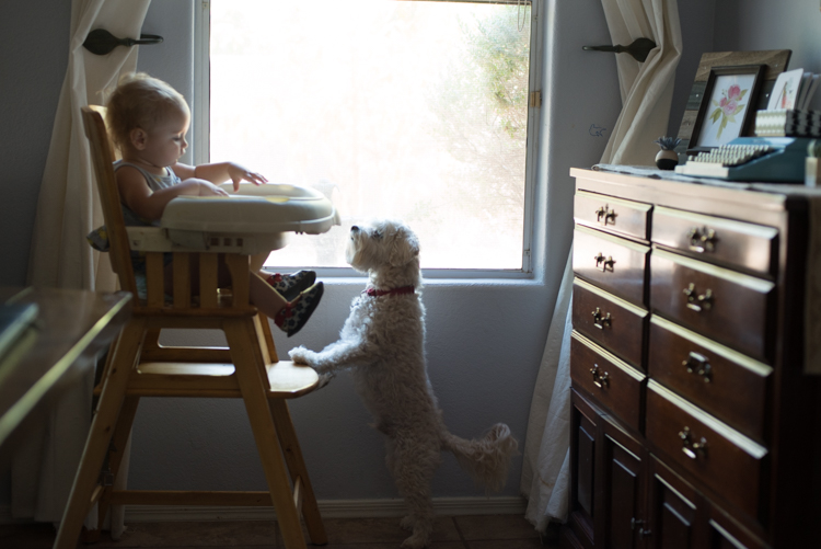 Kate Eschbach Photography-2017