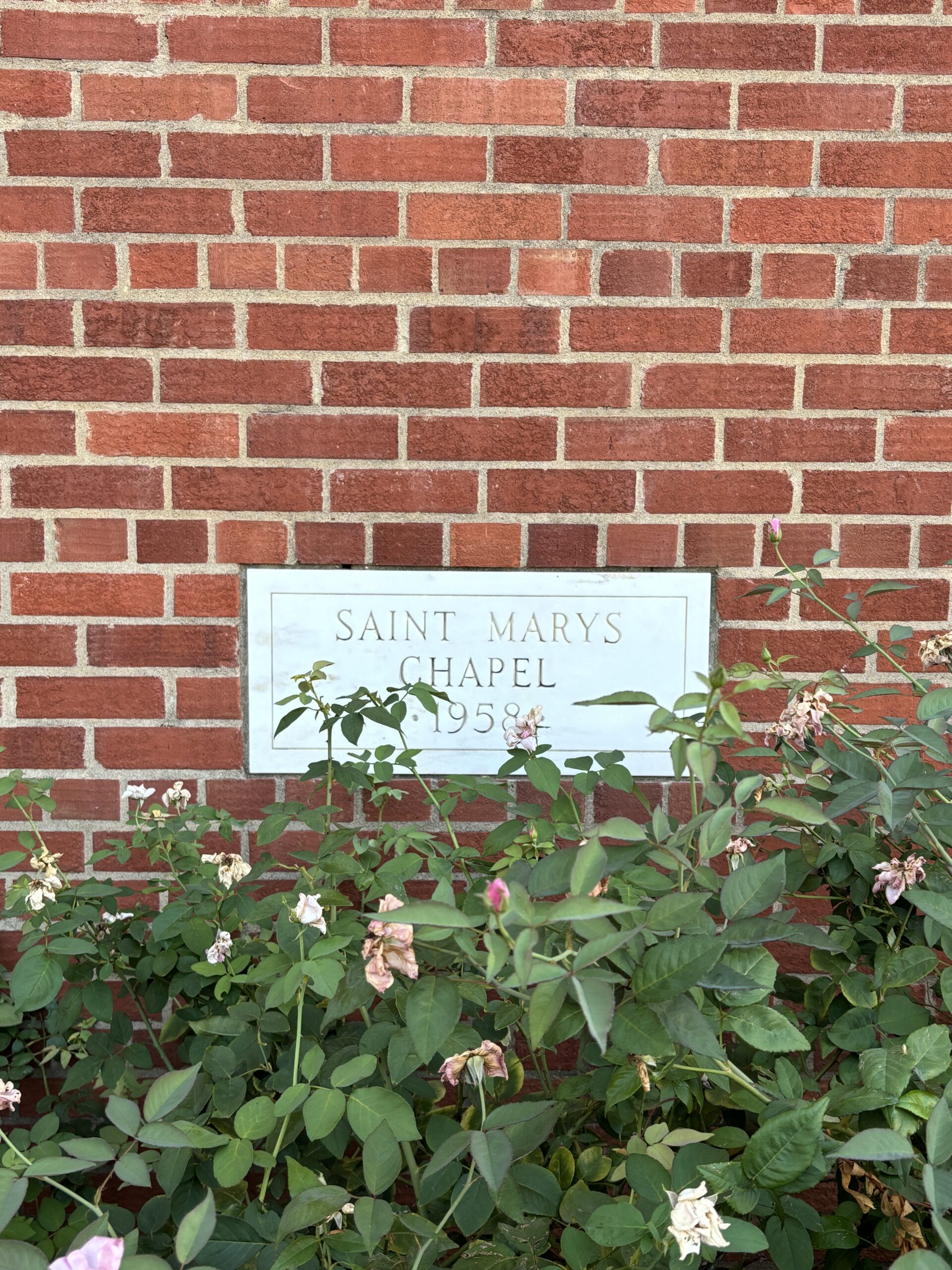 The Summer of Nostalgia