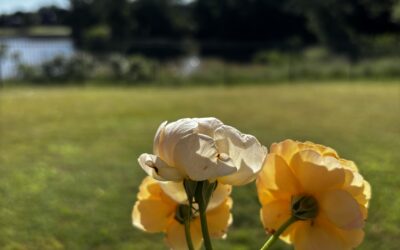 For such a time as this… Habemus Papam!