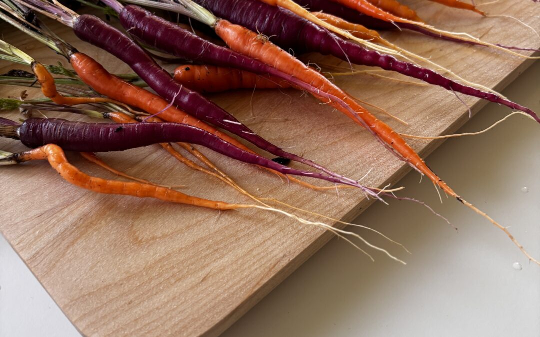 Roses, Zinnias, Carrots, and Cucumbers